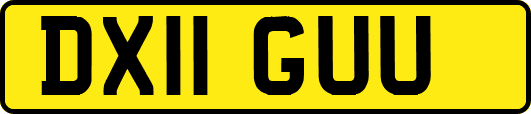 DX11GUU