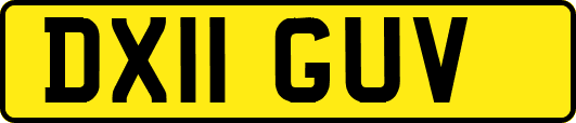 DX11GUV