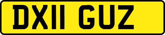 DX11GUZ