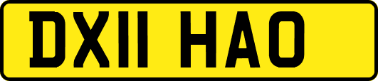 DX11HAO