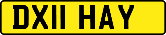 DX11HAY