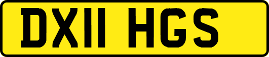 DX11HGS