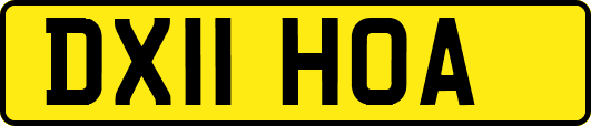 DX11HOA