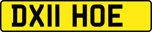 DX11HOE
