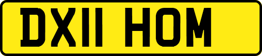 DX11HOM
