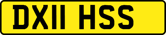 DX11HSS