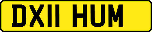 DX11HUM