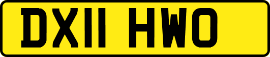 DX11HWO