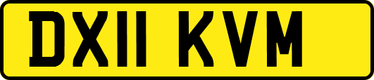 DX11KVM