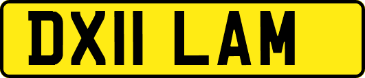 DX11LAM