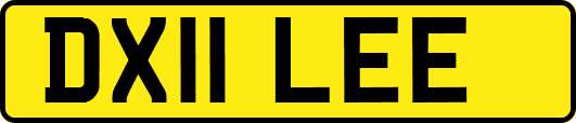 DX11LEE