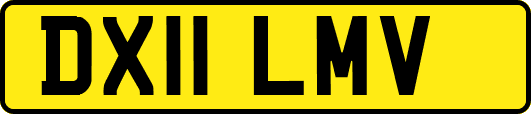 DX11LMV