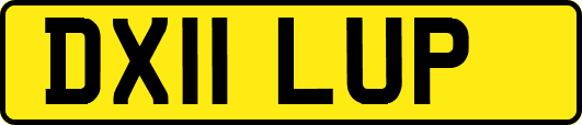 DX11LUP