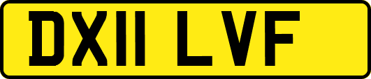 DX11LVF