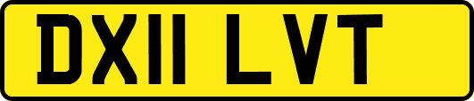 DX11LVT