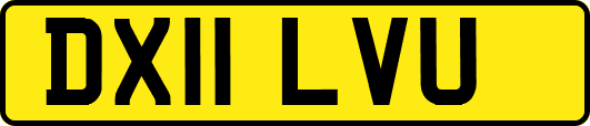 DX11LVU