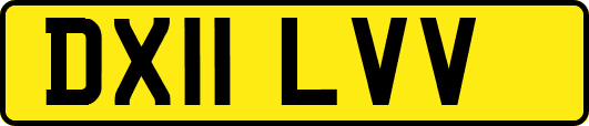 DX11LVV