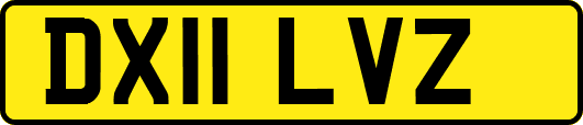DX11LVZ