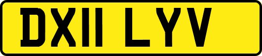 DX11LYV