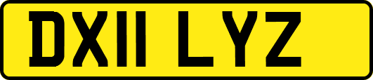 DX11LYZ