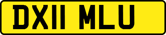 DX11MLU