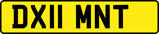 DX11MNT