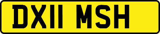 DX11MSH