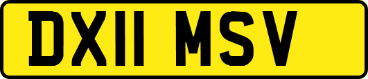 DX11MSV