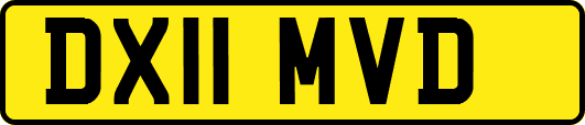 DX11MVD
