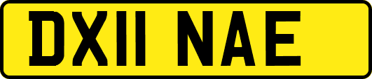 DX11NAE
