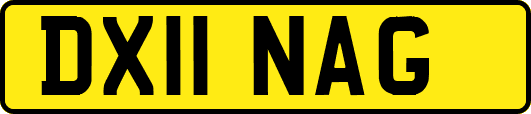 DX11NAG