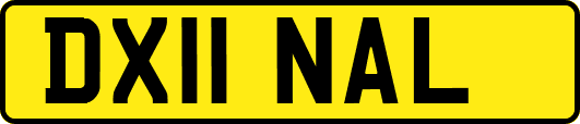 DX11NAL