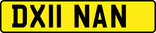 DX11NAN