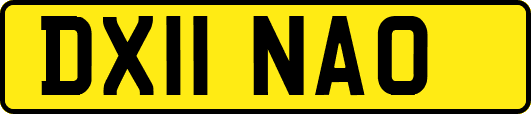 DX11NAO