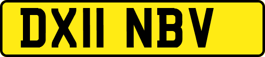 DX11NBV