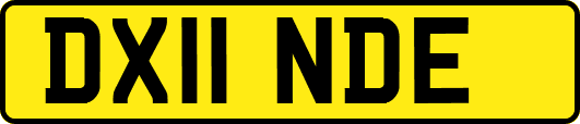 DX11NDE