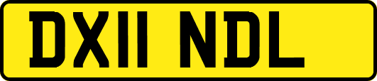 DX11NDL