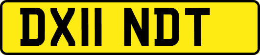 DX11NDT