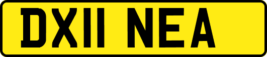 DX11NEA