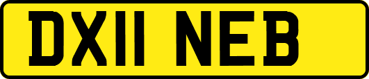 DX11NEB