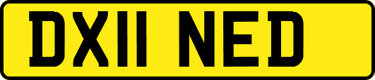 DX11NED