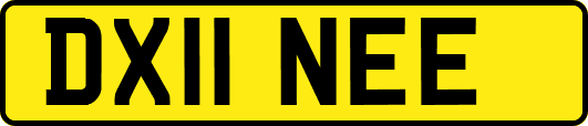 DX11NEE