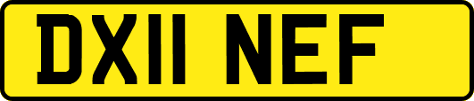 DX11NEF