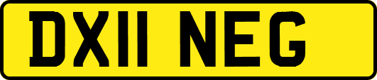 DX11NEG