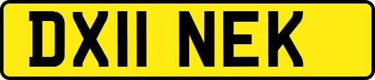 DX11NEK
