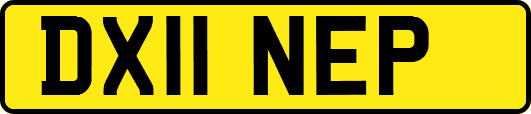 DX11NEP