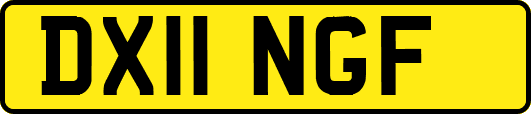 DX11NGF