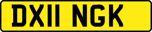 DX11NGK