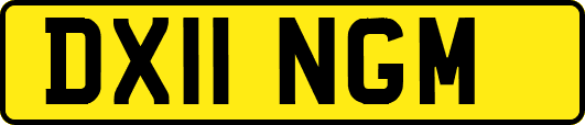 DX11NGM