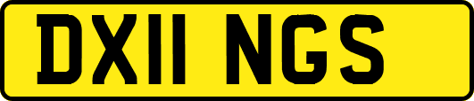 DX11NGS